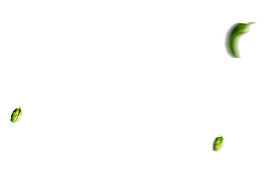 Foodking - Fast Food Restaurant WordPress Theme